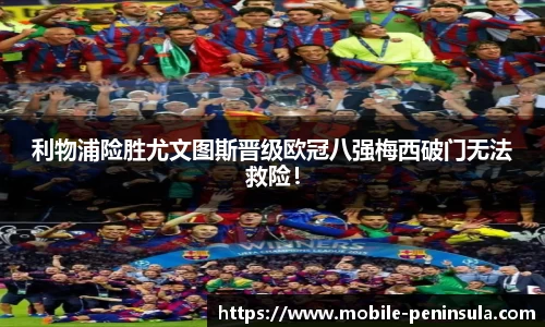 半岛体育公司